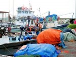Sarköy, quai nord, réservé aux pêcheurs {JPEG}